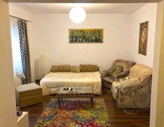 Проживание в семье Cozy room, excelent location Бухарест Улучшенный двухместный номер с 1 кроватью-2